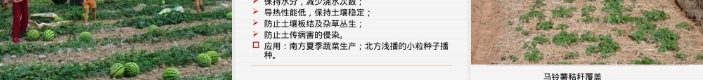 第五章园艺设施及其环境控制教学PPT课件.ppt