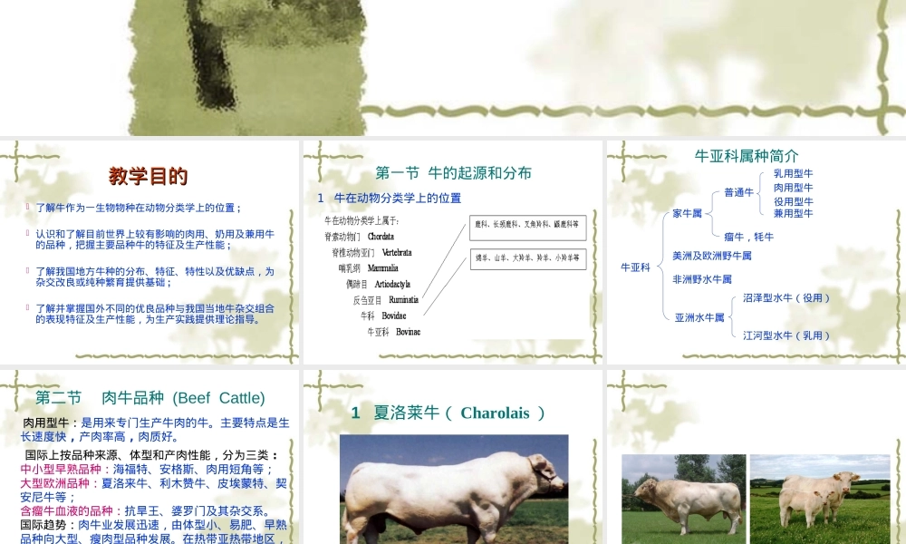 第二章牛种及其品种PPT课件.ppt