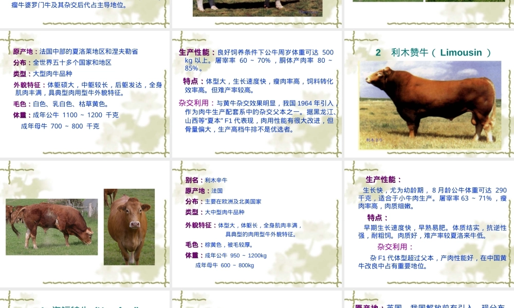 第二章牛种及其品种PPT课件.ppt