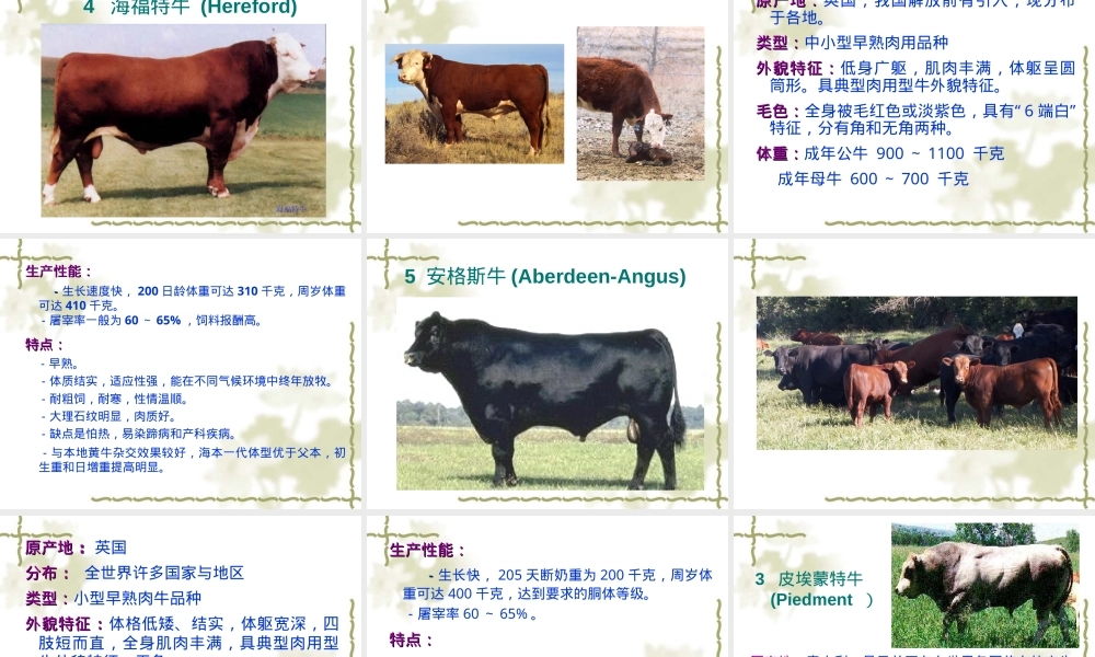 第二章牛种及其品种PPT课件.ppt