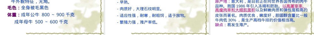 第二章牛种及其品种PPT课件.ppt