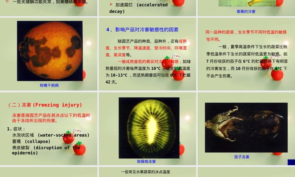 第五章园艺产品采后病害及其防治PPT课件.ppt