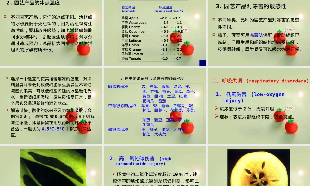 第五章园艺产品采后病害及其防治PPT课件.ppt