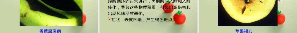 第五章园艺产品采后病害及其防治PPT课件.ppt