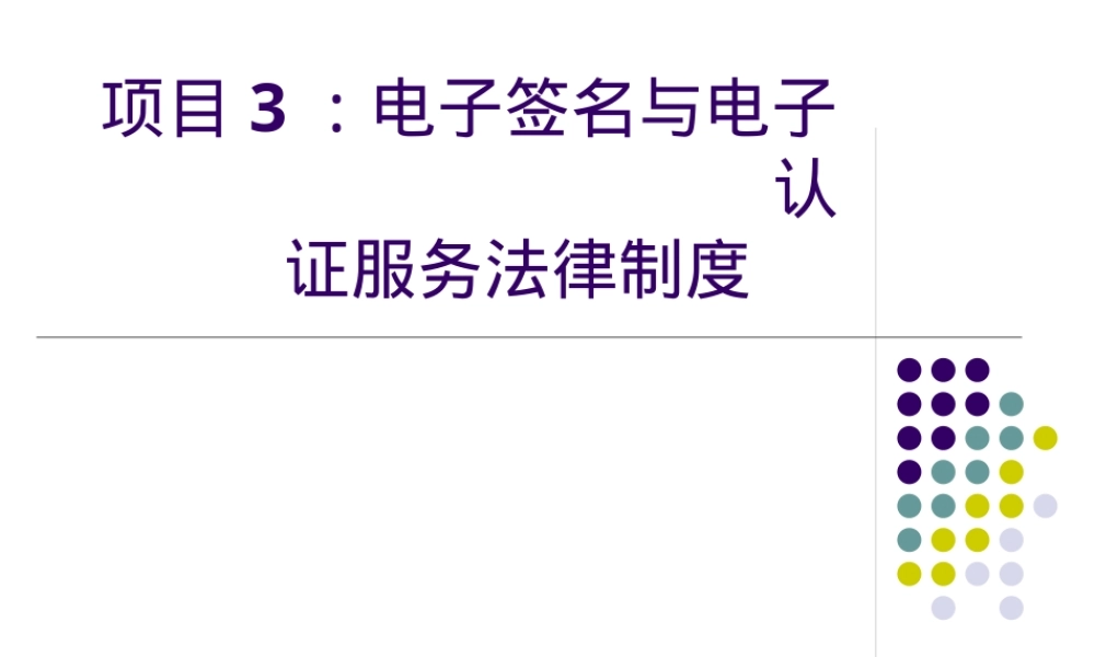电子签名与电子认证法律制度PPT课件.pptx