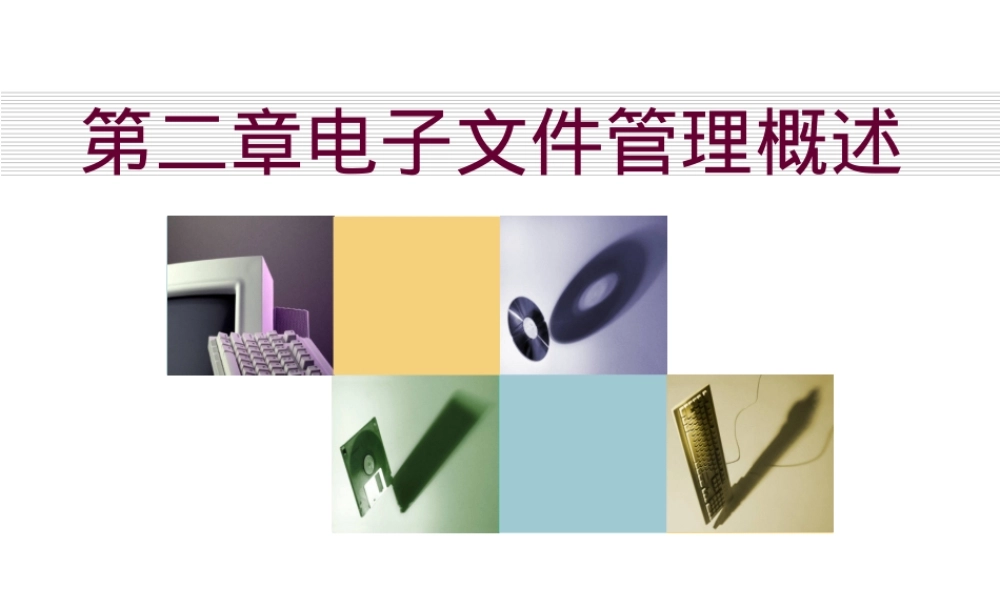 第二章电子文件管理概述PPT课件.ppt