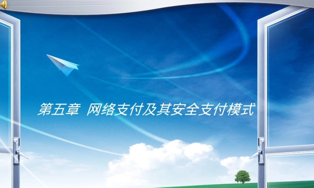 第5章网络支付及其安全支付模式教学PPT课件.ppt