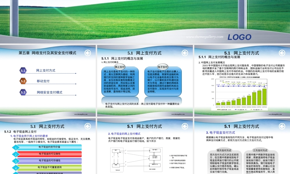 第5章网络支付及其安全支付模式教学PPT课件.ppt
