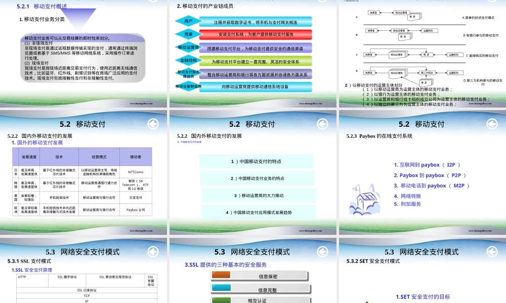 第5章网络支付及其安全支付模式教学PPT课件.ppt