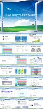 第5章网络支付及其安全支付模式教学PPT课件.ppt