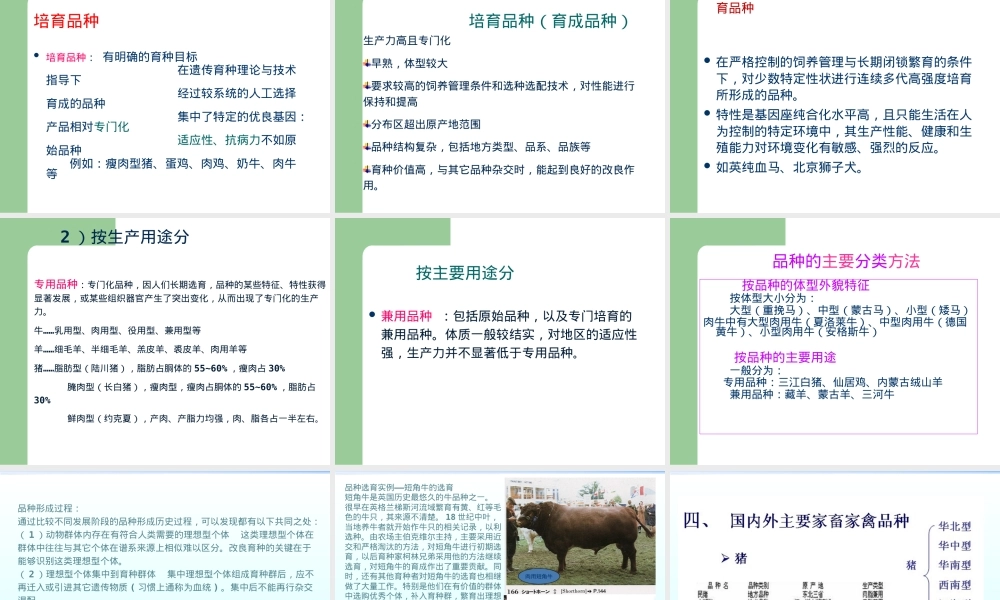 品种资源及其利用教学PPT课件.ppt