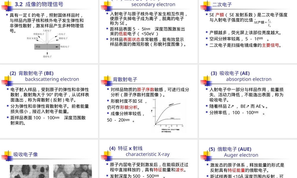 扫描电子显微镜材料测试方法PPT课件.ppt