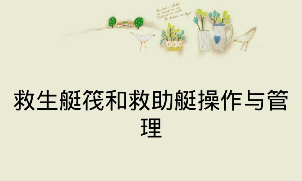 救生艇筏与救助艇操作管理PPT课件.ppt