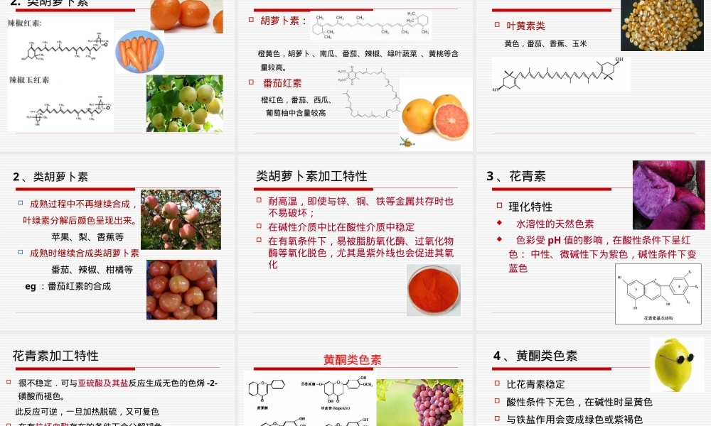 果蔬的化学组成及其特性PPT课件.ppt