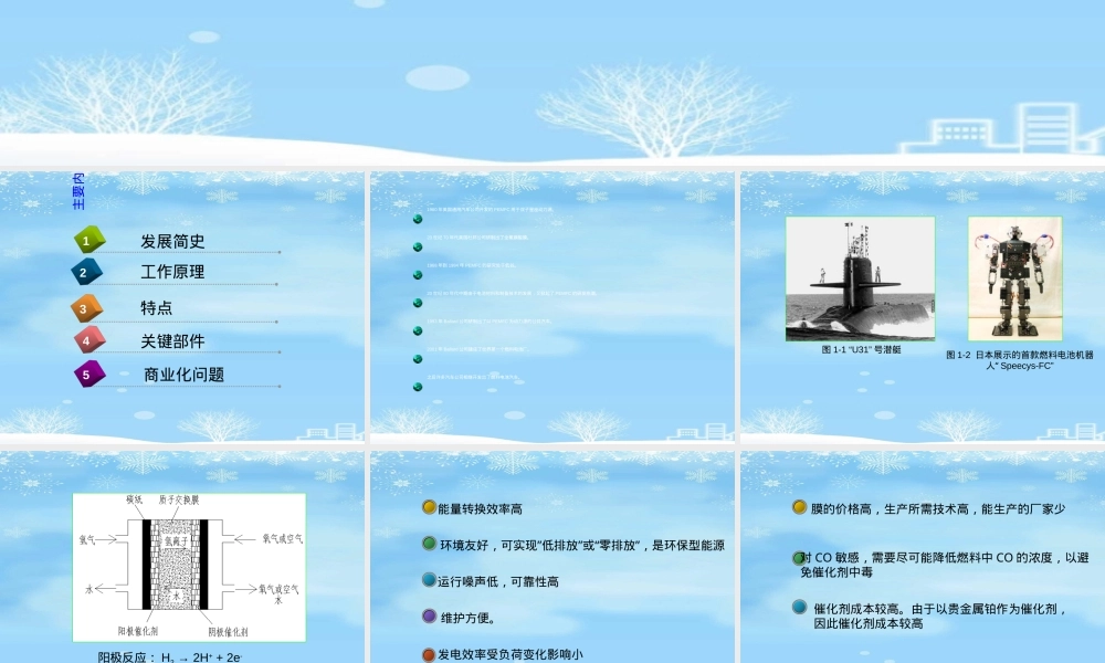质子交换膜燃料电池教学PPT课件 副本2.ppt