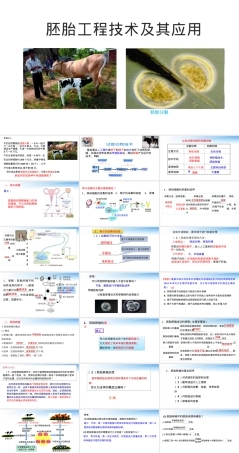 胚胎工程技术及其应用教学PPT课件人教版.pptx