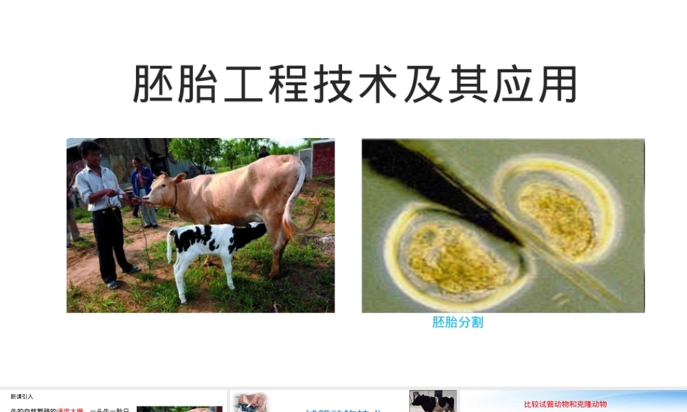 胚胎工程技术及其应用教学PPT课件人教版.pptx