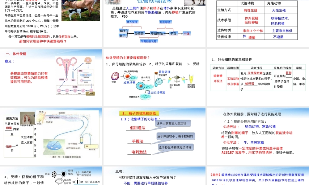 胚胎工程技术及其应用教学PPT课件人教版.pptx