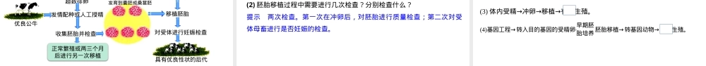 胚胎工程技术及其应用教学PPT课件人教版.pptx