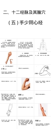 十二经脉及其腧穴教学PPT课件.ppt