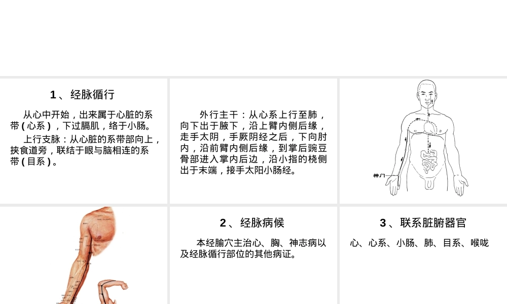 十二经脉及其腧穴教学PPT课件.ppt