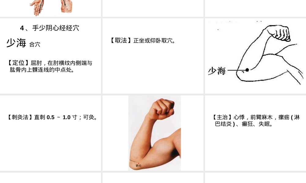 十二经脉及其腧穴教学PPT课件.ppt