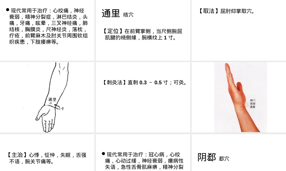十二经脉及其腧穴教学PPT课件.ppt