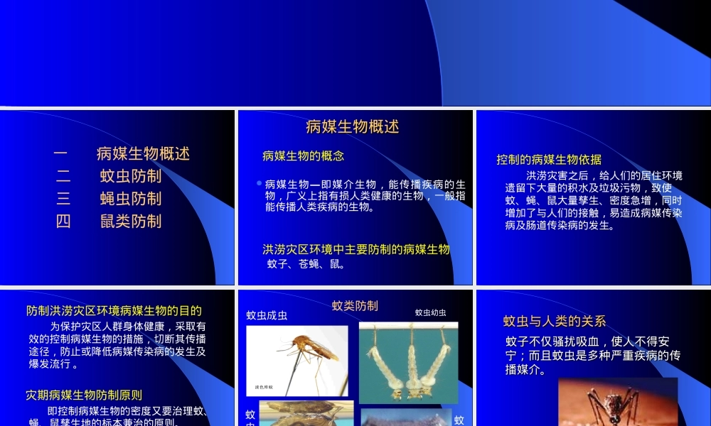 洪涝灾害病媒生物防制技术PPT课件.ppt