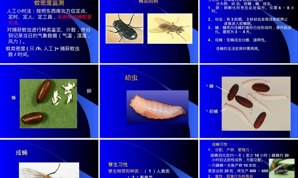 洪涝灾害病媒生物防制技术PPT课件.ppt