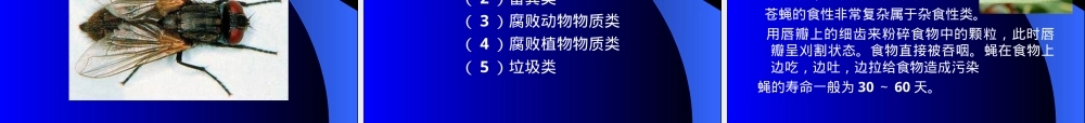 洪涝灾害病媒生物防制技术PPT课件.ppt