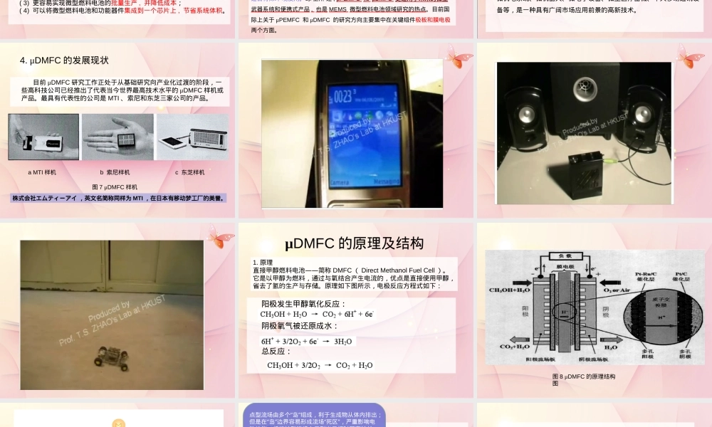 微型直接甲醇燃料电池PPT课件.pptx