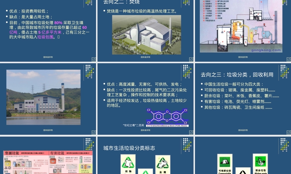 固体废弃物处理与管理PPT课件.ppt