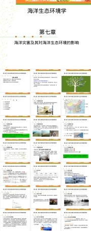 海洋灾害及其对海洋生态环境的影响教学PPT课件.ppt