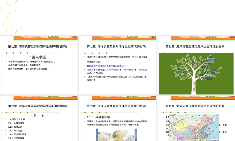 海洋灾害及其对海洋生态环境的影响教学PPT课件.ppt