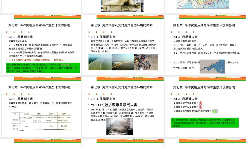 海洋灾害及其对海洋生态环境的影响教学PPT课件.ppt