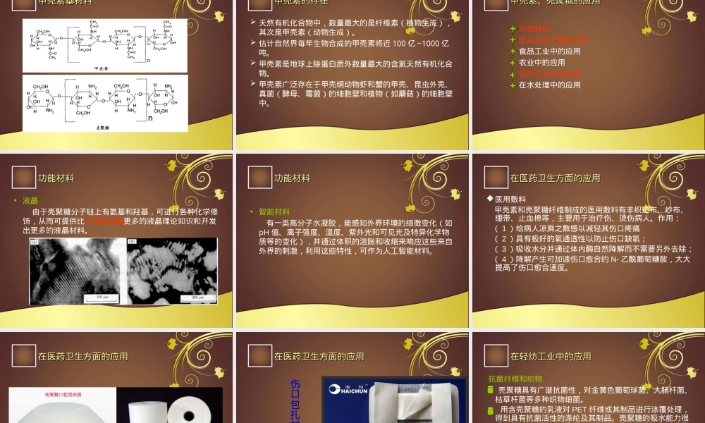 生物质材料简介PPT课件.ppt