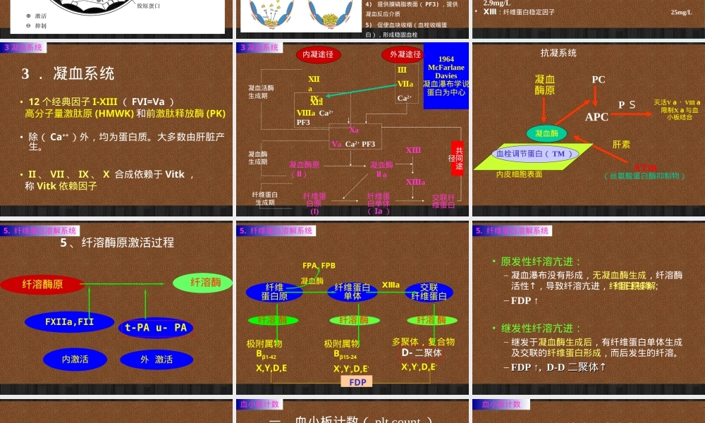 危重患者凝血功能检查与解读PPT课件.ppt