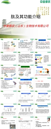 肽及其功能介绍PPT课件.ppt