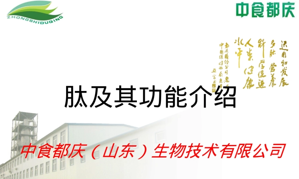 肽及其功能介绍PPT课件.ppt