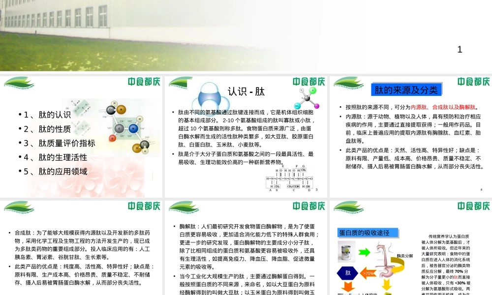 肽及其功能介绍PPT课件.ppt
