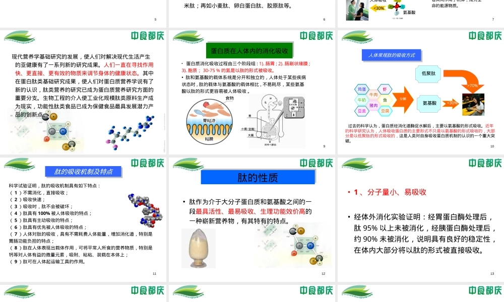 肽及其功能介绍PPT课件.ppt