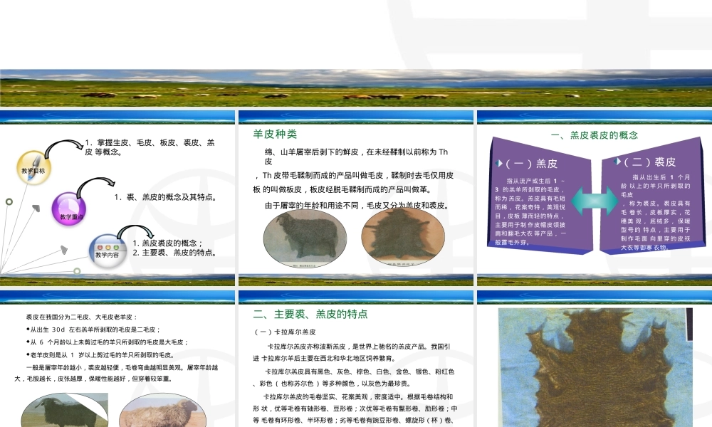 项目八主要裘羔皮及其特点与品质影响因素PPT课件.pptx