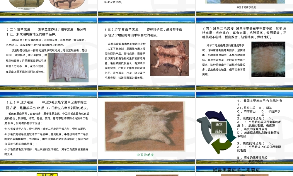 项目八主要裘羔皮及其特点与品质影响因素PPT课件.pptx