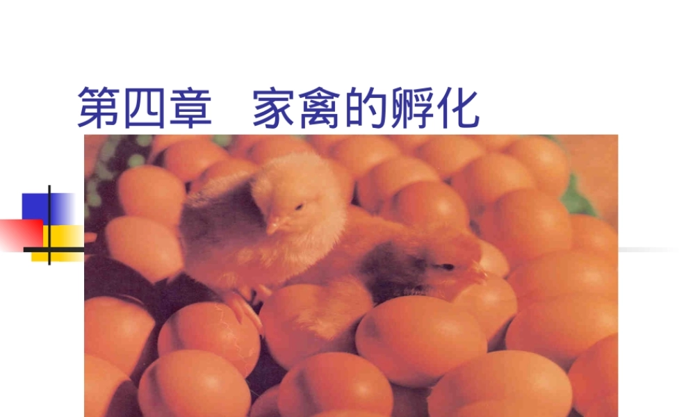家禽孵化全过程及管理PPT课件.ppt