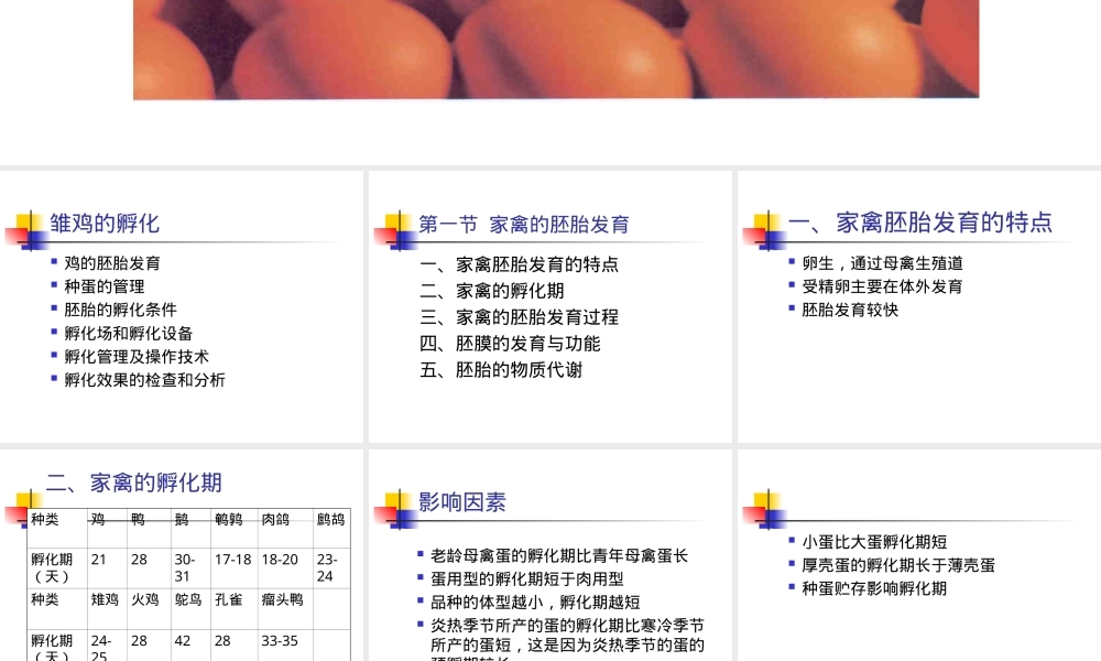 家禽孵化全过程及管理PPT课件.ppt