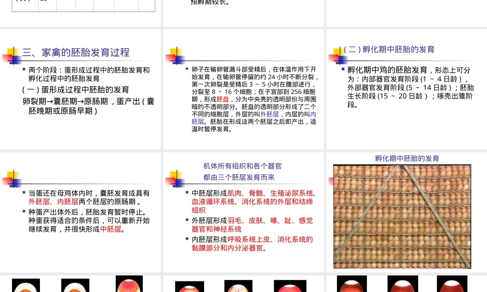 家禽孵化全过程及管理PPT课件.ppt