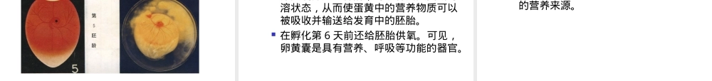 家禽孵化全过程及管理PPT课件.ppt