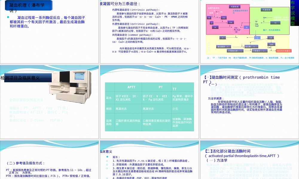 凝血功能解读教学PPT课件.ppt