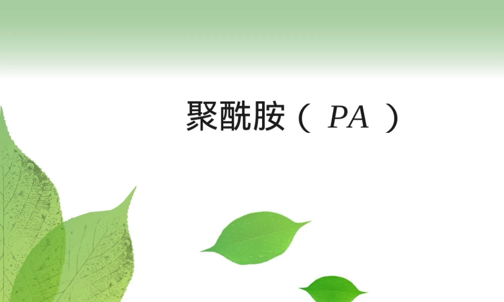 聚酰胺PA材料特性与应用PPT课件.ppt