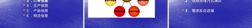 供应链管理信息系统教学PPT课件.pptx